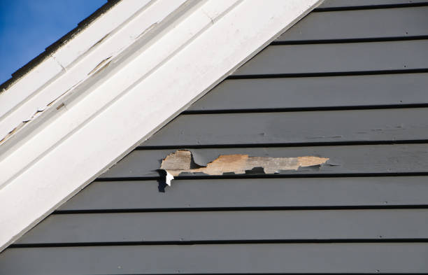 Best Same-Day Junk Removal Services  in Vail, CO